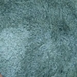 Meet your Posher, Bruce